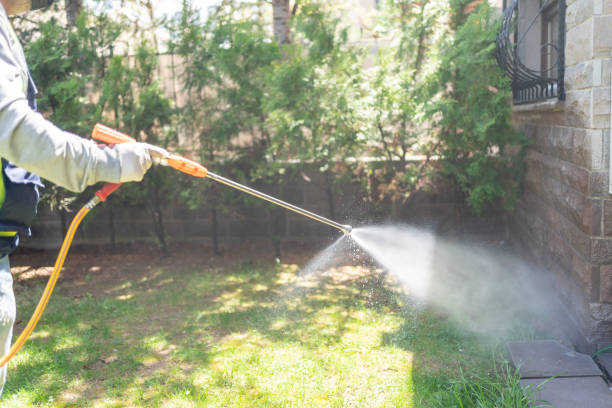 Best Best Pest Control Companies  in Vardaman, MS