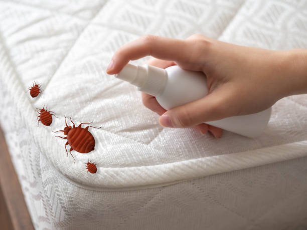 Best Cockroach Control Services  in Vardaman, MS